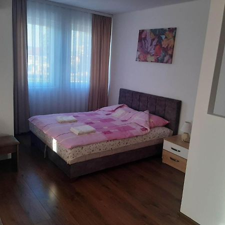 לינה וארוחת בוקר סייניצה Vila Centar Mb מראה חיצוני תמונה
