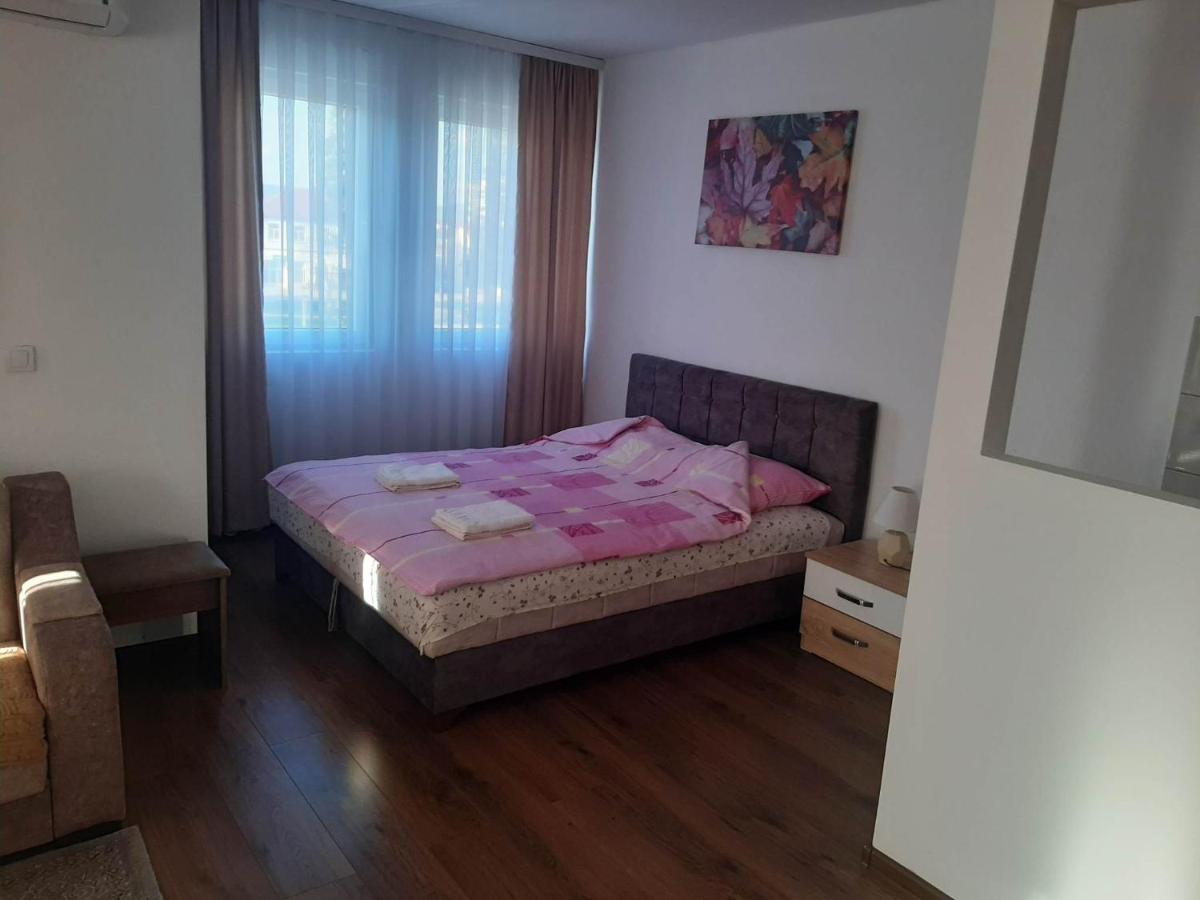 לינה וארוחת בוקר סייניצה Vila Centar Mb מראה חיצוני תמונה